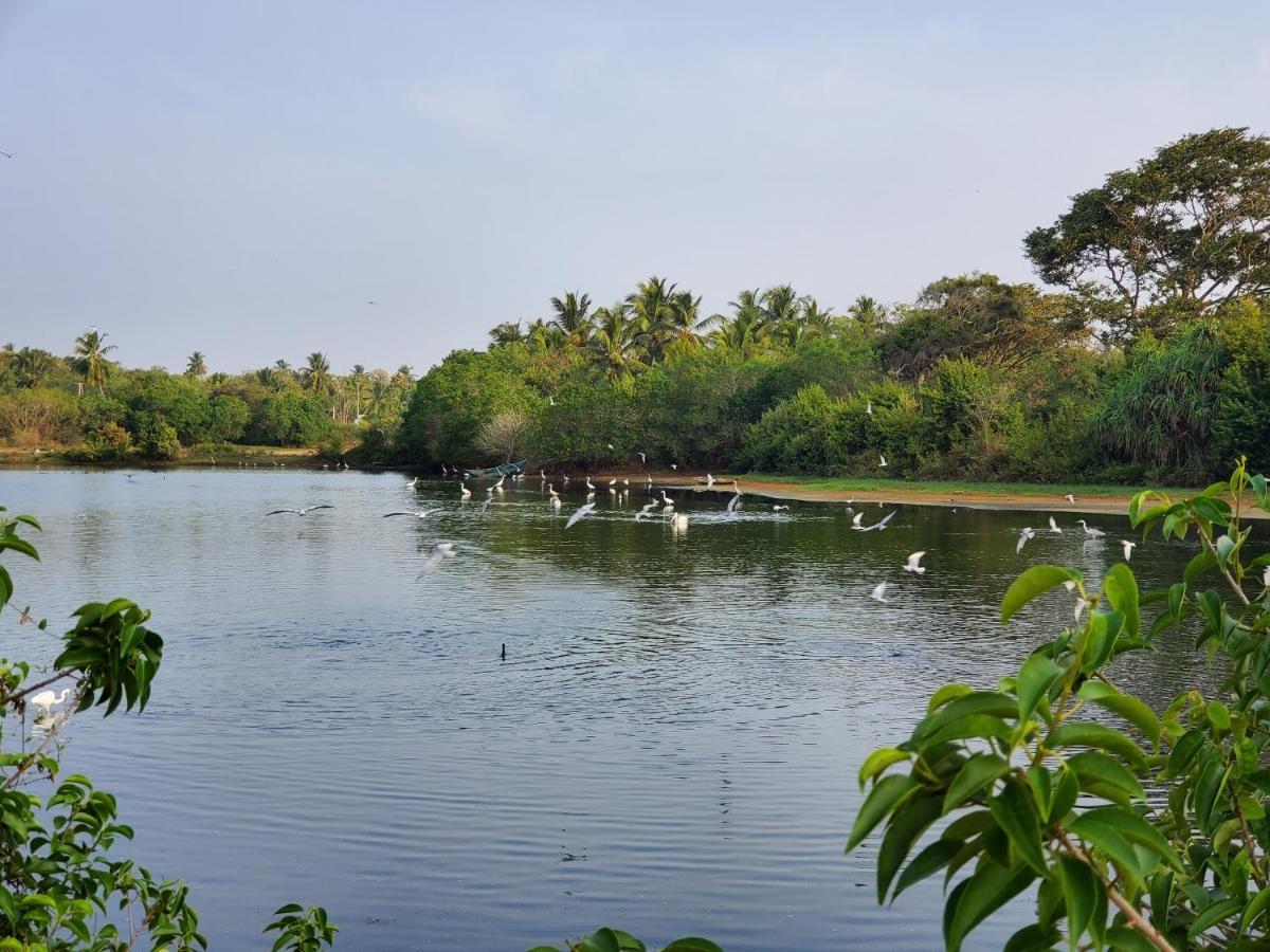 Ceu Ceylon Villa Tangalle Dış mekan fotoğraf